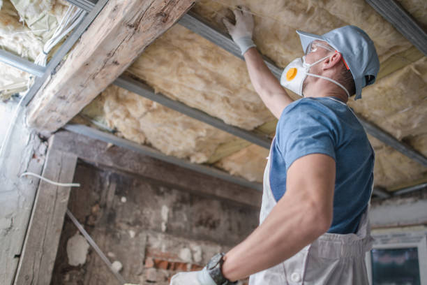 Best Geographic-Specific Insulation Services in Hot Springs, AR