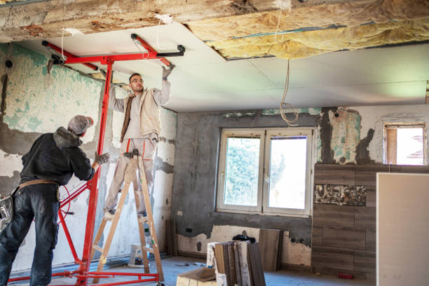 Best Cellulose Insulation in Hot Springs, AR